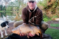 common carp 25 lb -a