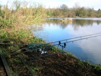 corner-swim-the-elms-feb-2011