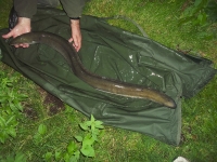 photo2